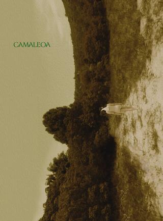 Camaleoa poster