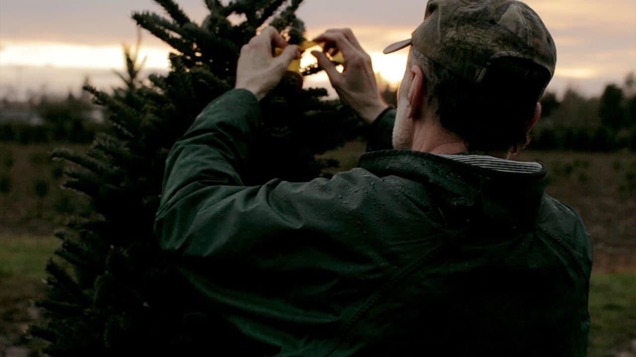 Noble Fir backdrop