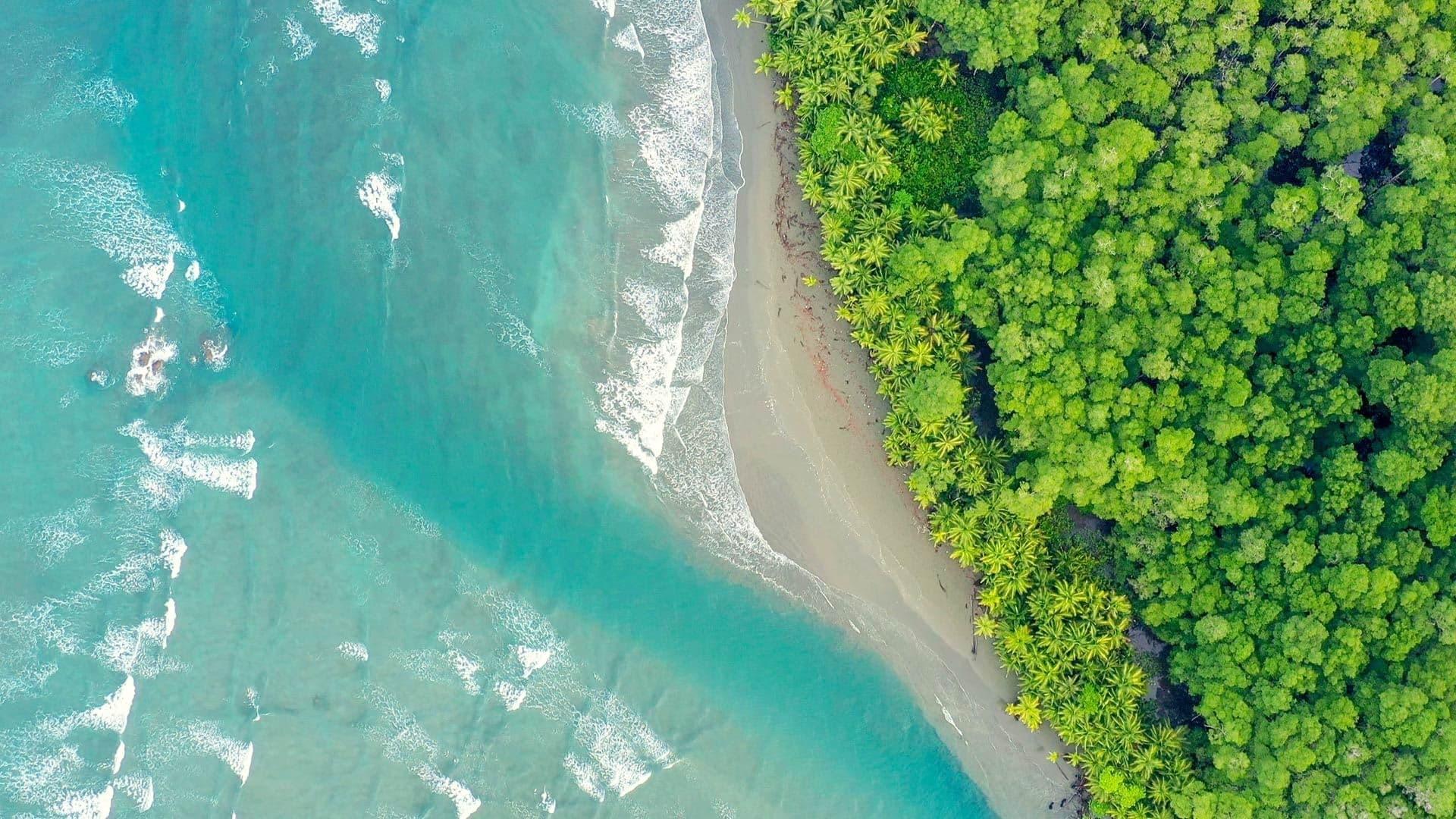 Costa Rica: The Rise of Nature backdrop