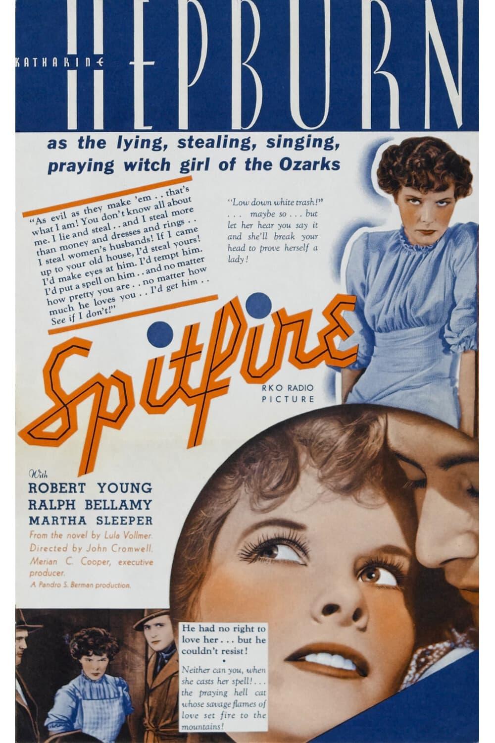 Spitfire poster