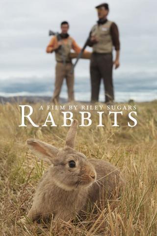 Rabbits poster