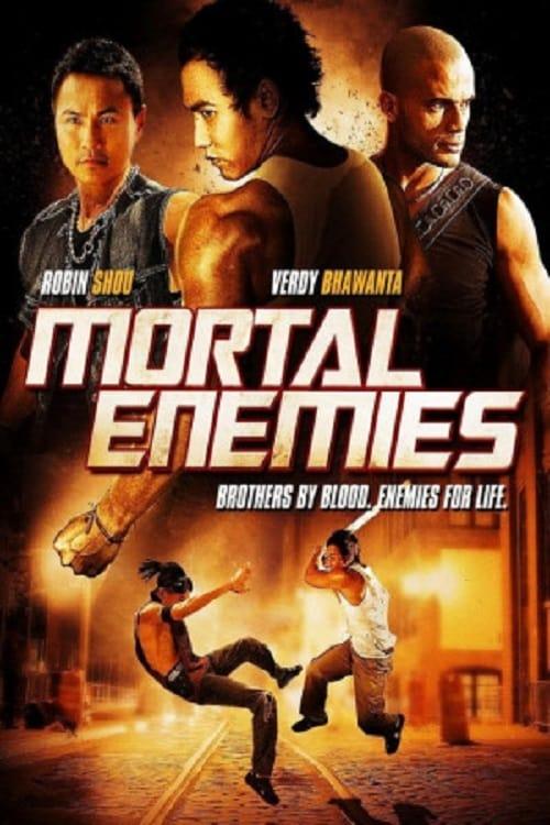 Mortal Enemies poster