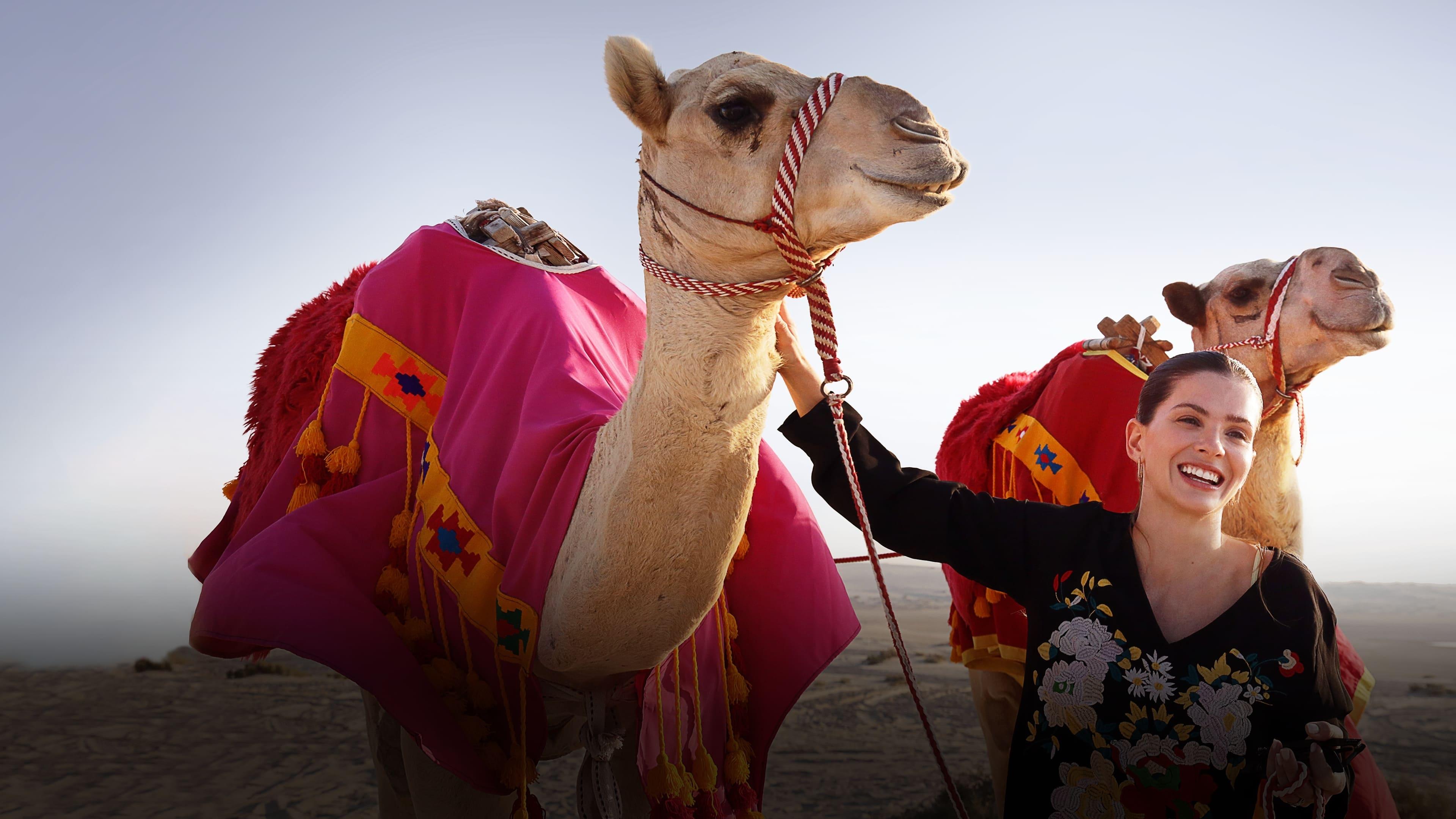 La China en Qatar backdrop