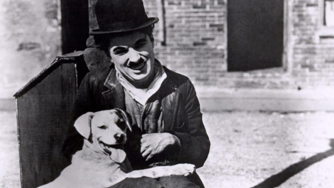 Minnie Chaplin backdrop