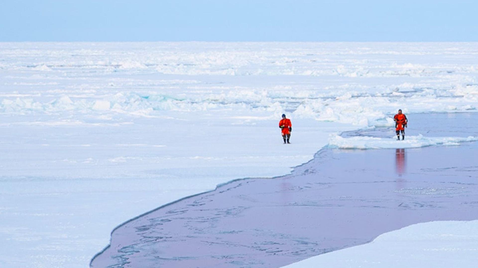 Sailing the North Pole backdrop