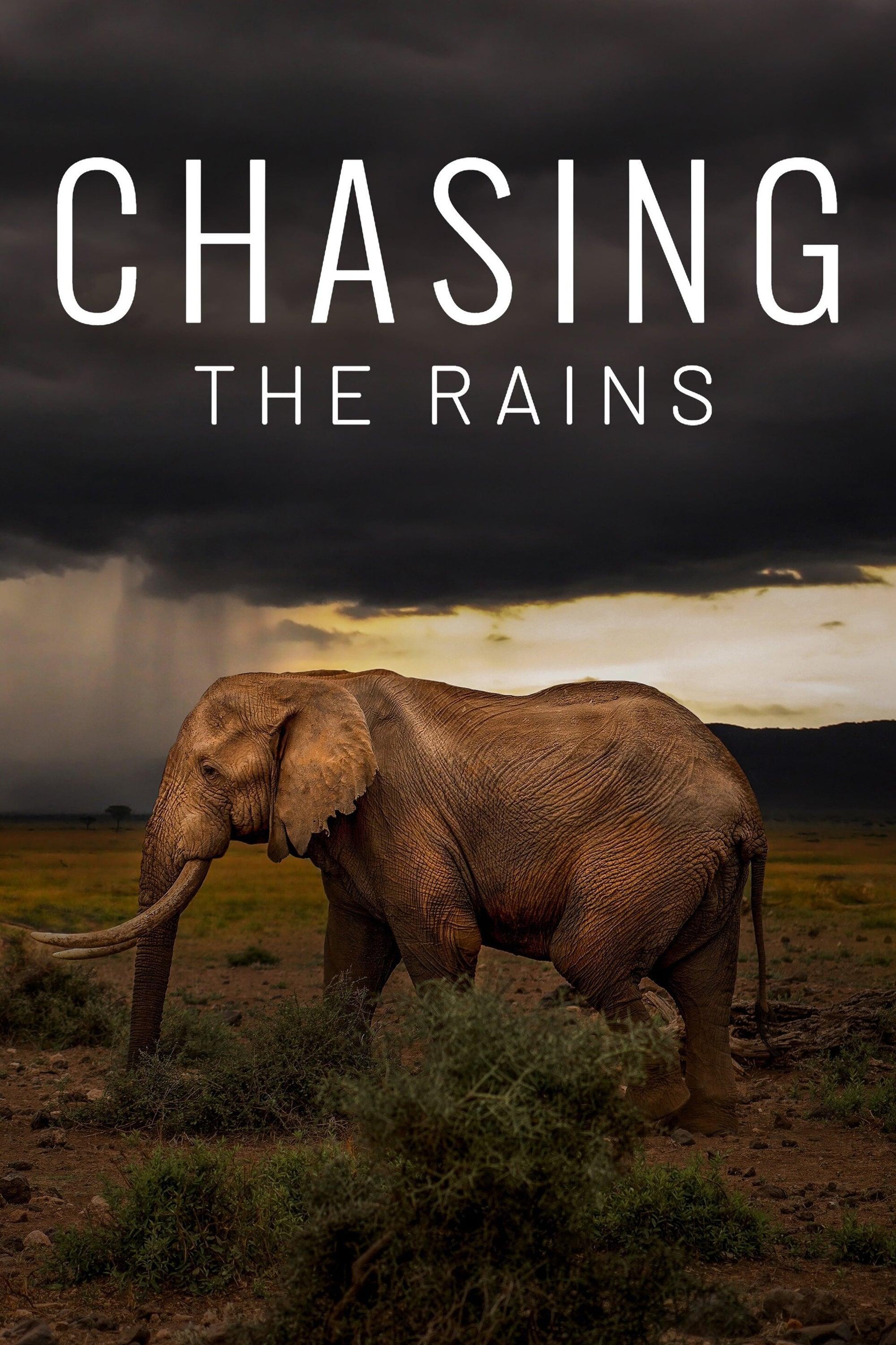 Chasing the Rains poster