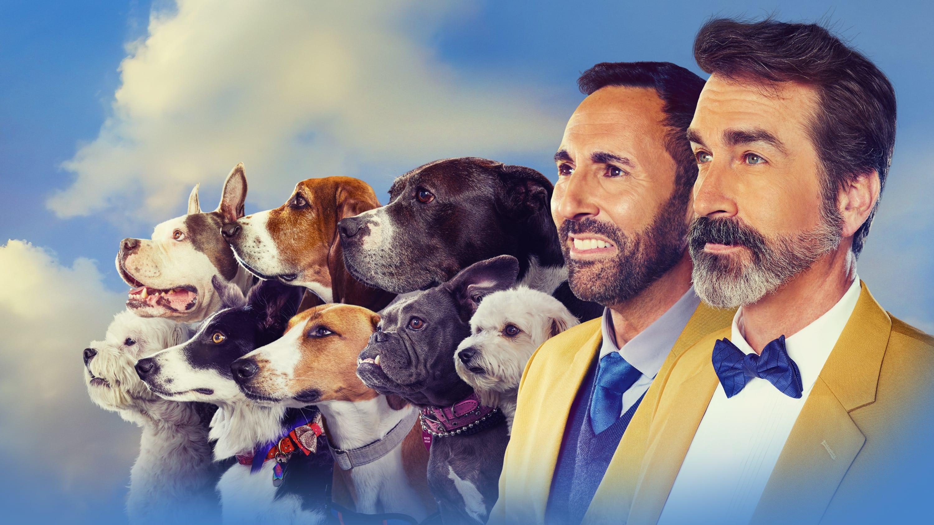 2022 American Rescue Dog Show backdrop