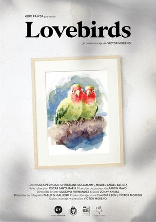 Lovebirds poster