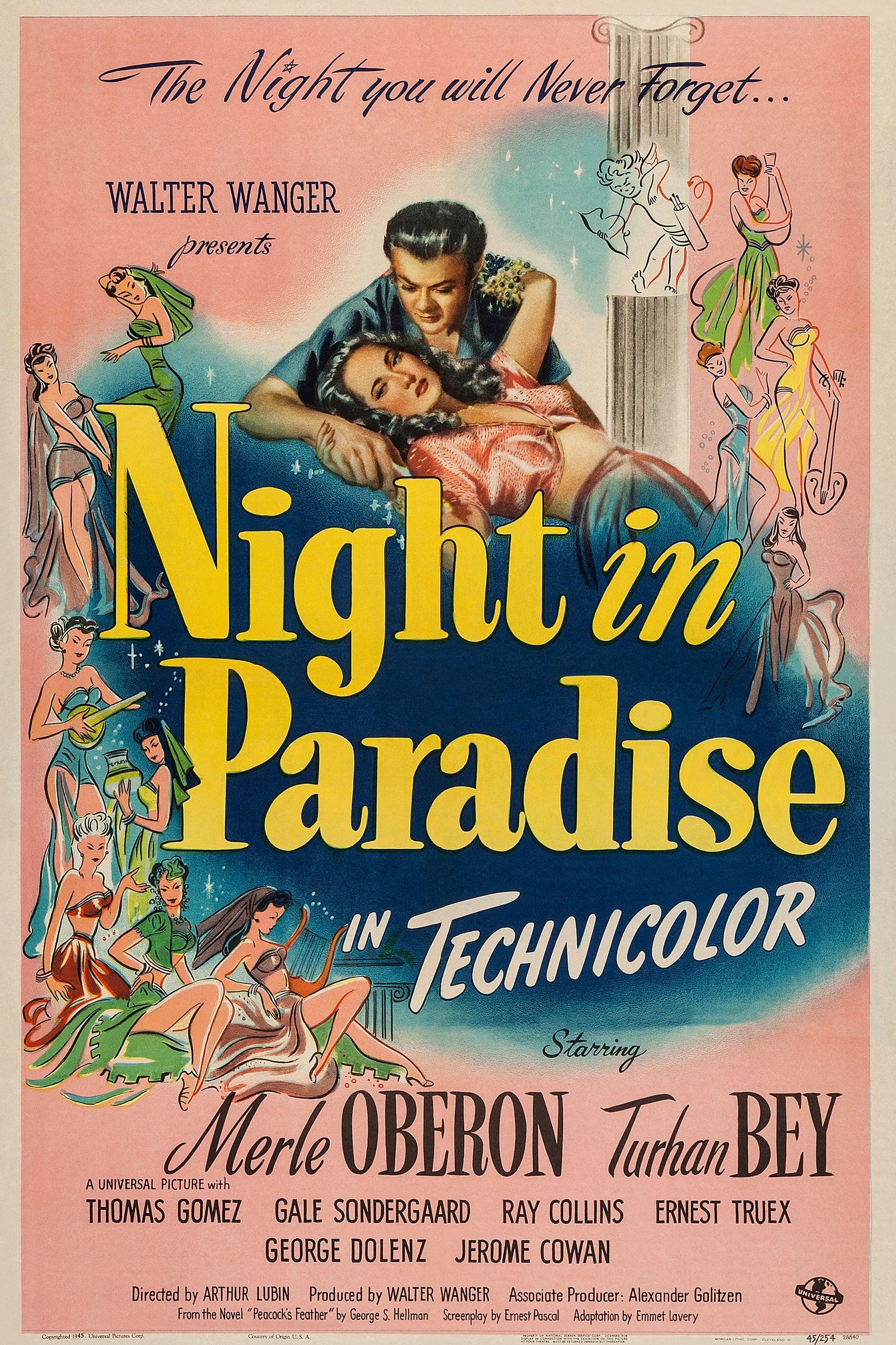 Night in Paradise poster