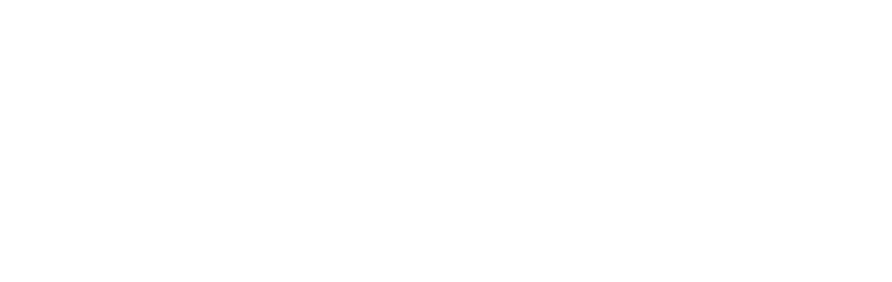 The Blind Side logo