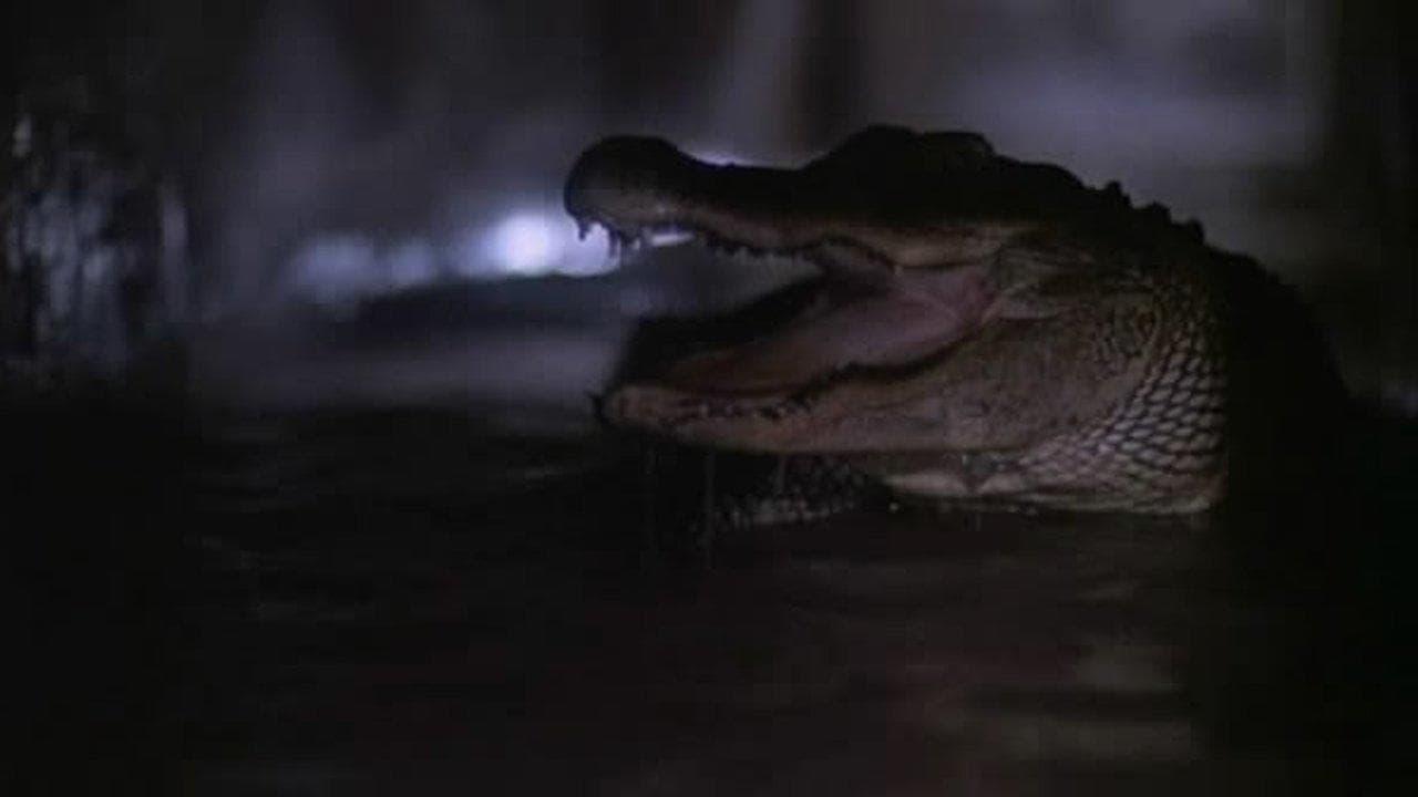 Alligator 2: The Mutation backdrop
