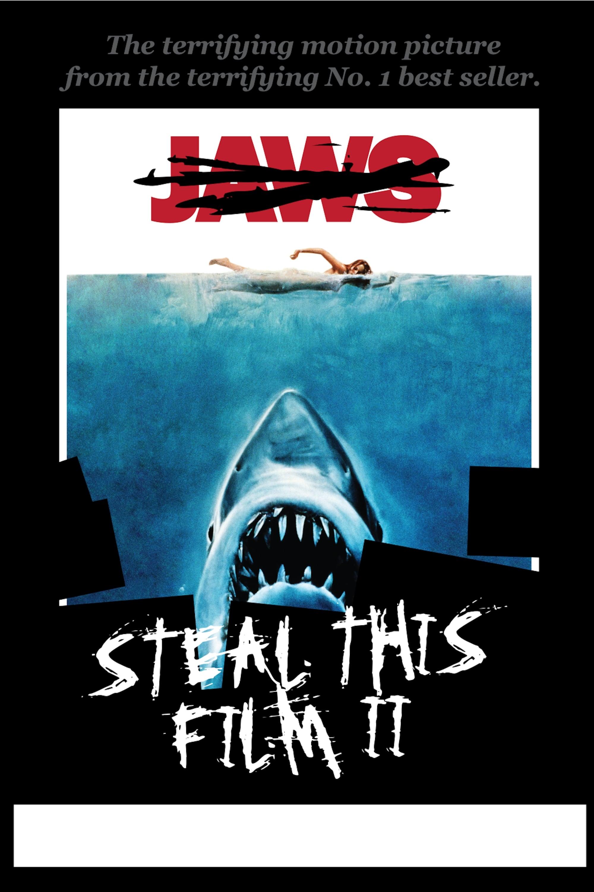 Steal This Film II poster