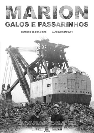 Marion, Galos e Passarinhos poster