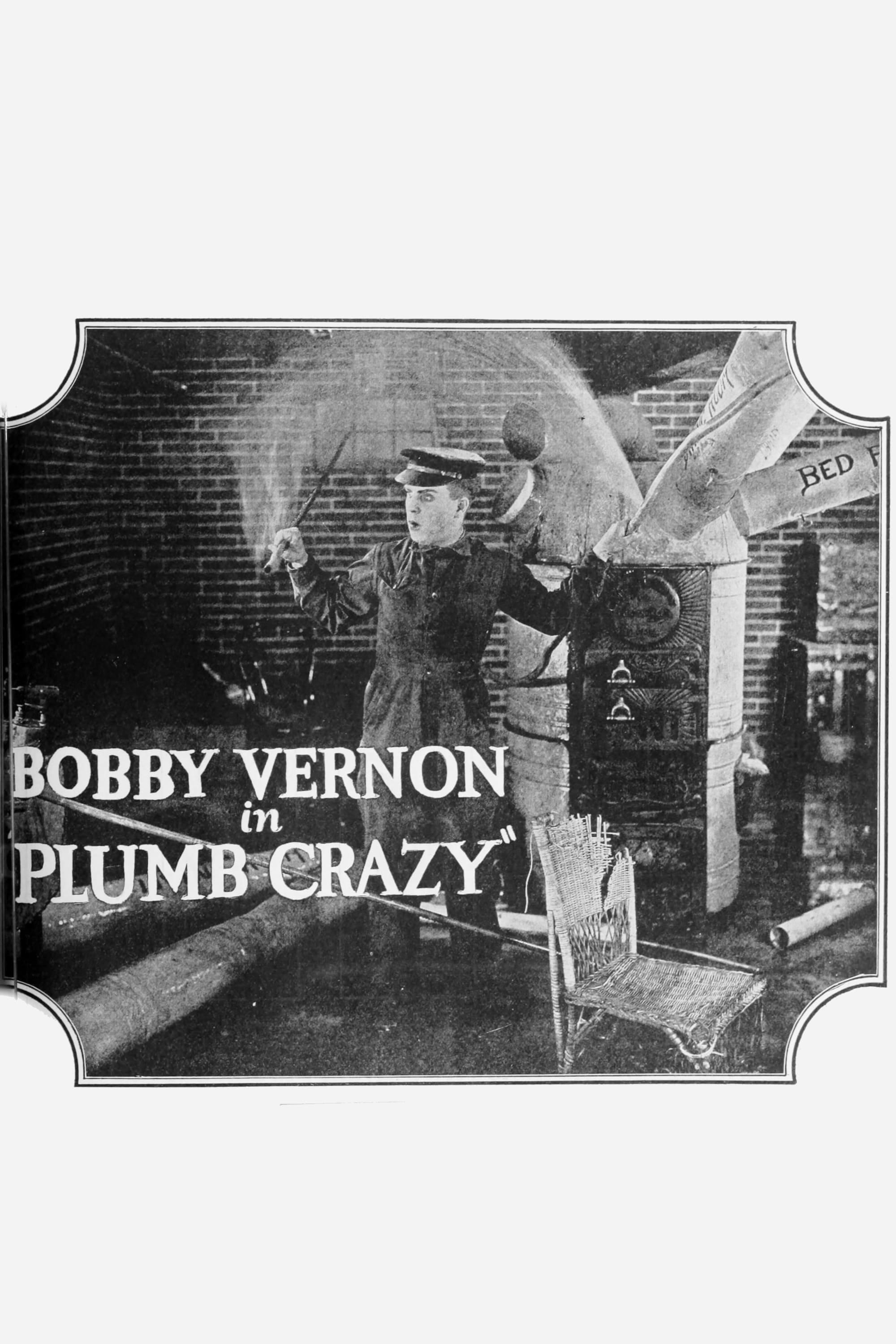 Plumb Crazy poster