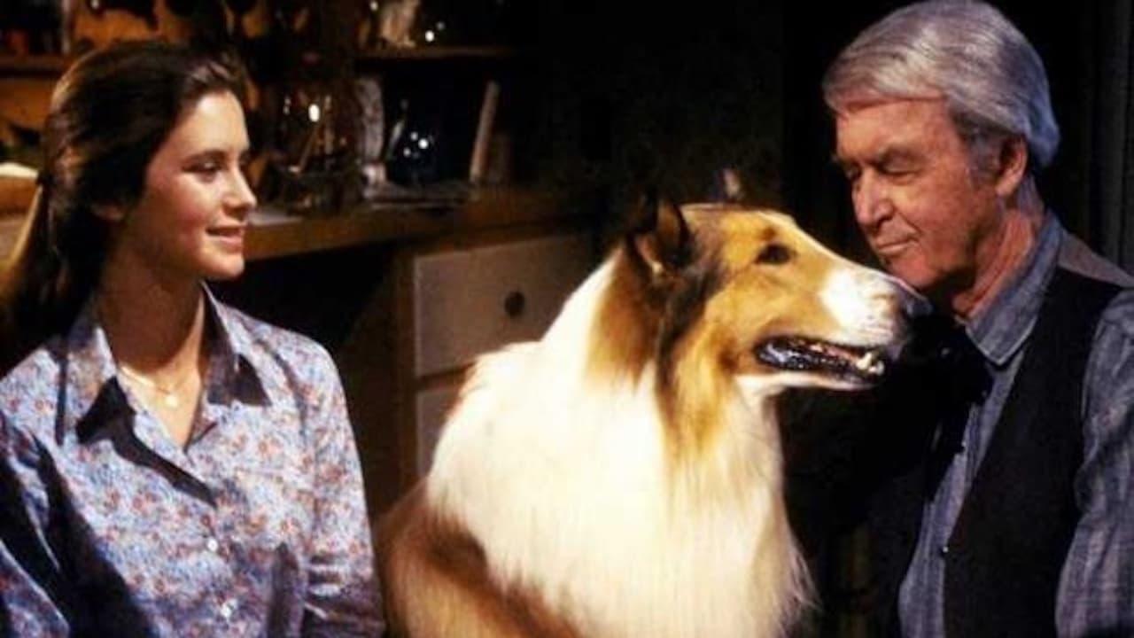 The Magic of Lassie backdrop