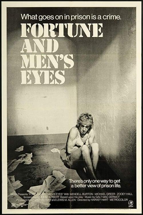 Fortune and Men's Eyes poster