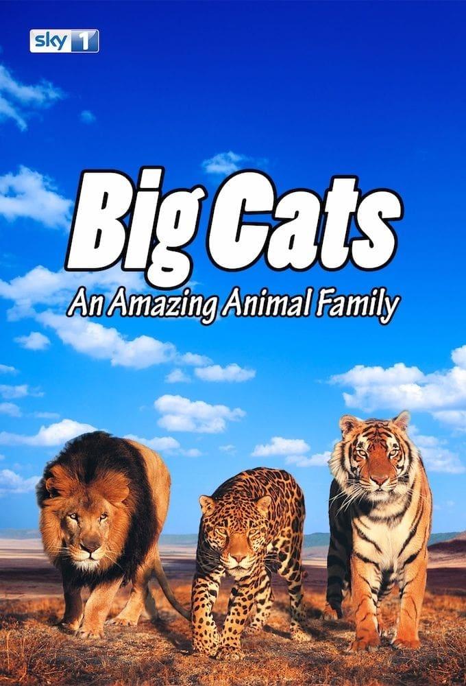 Big Cats: An Amazing Animal Family poster