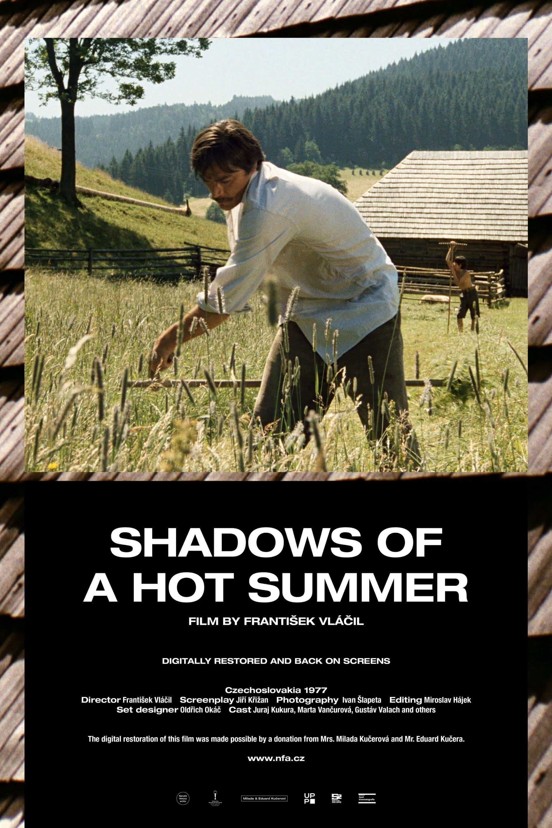 Shadows of a Hot Summer poster