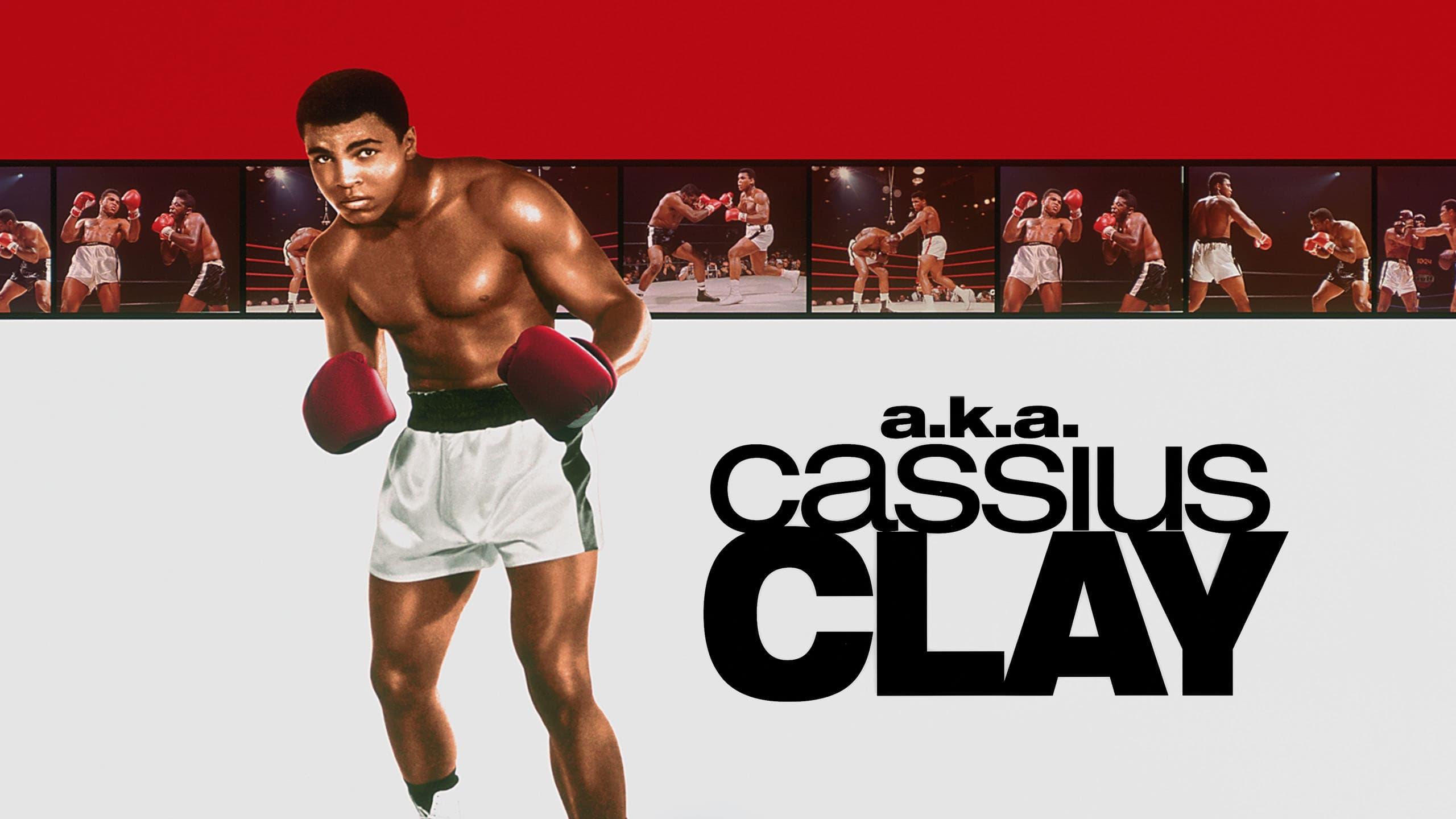 a.k.a. Cassius Clay backdrop