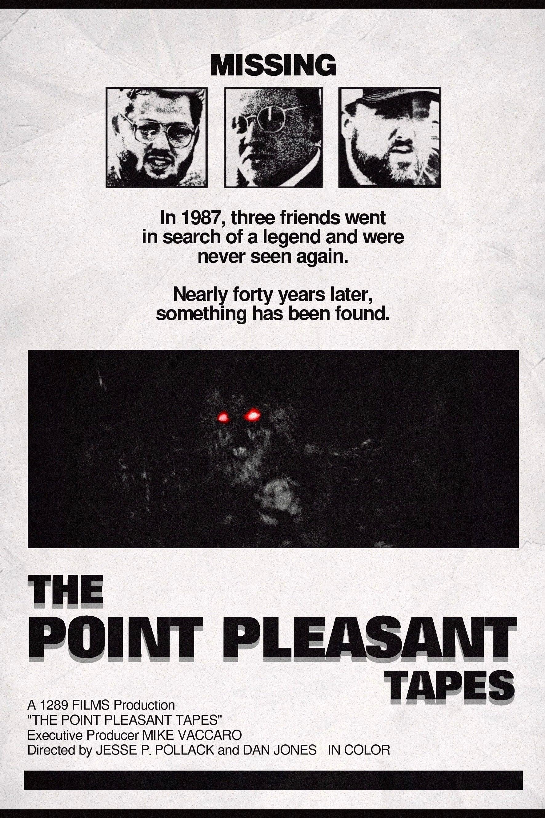 The Point Pleasant Tapes poster