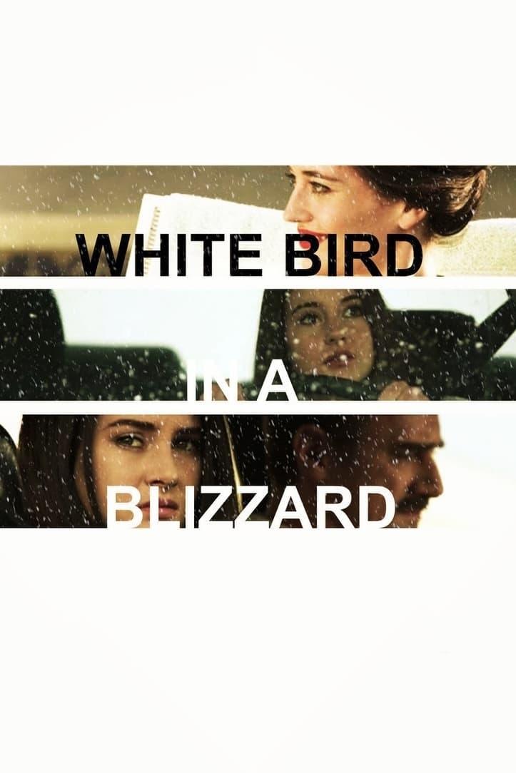 White Bird in a Blizzard poster