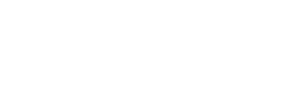 The Time of Fever logo