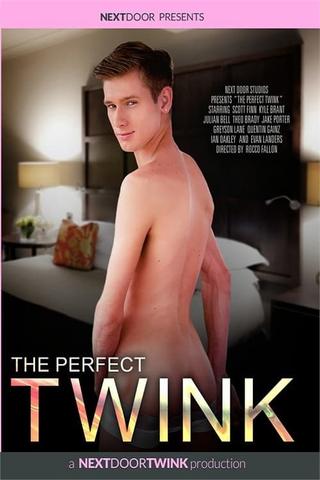 The Perfect Twink poster