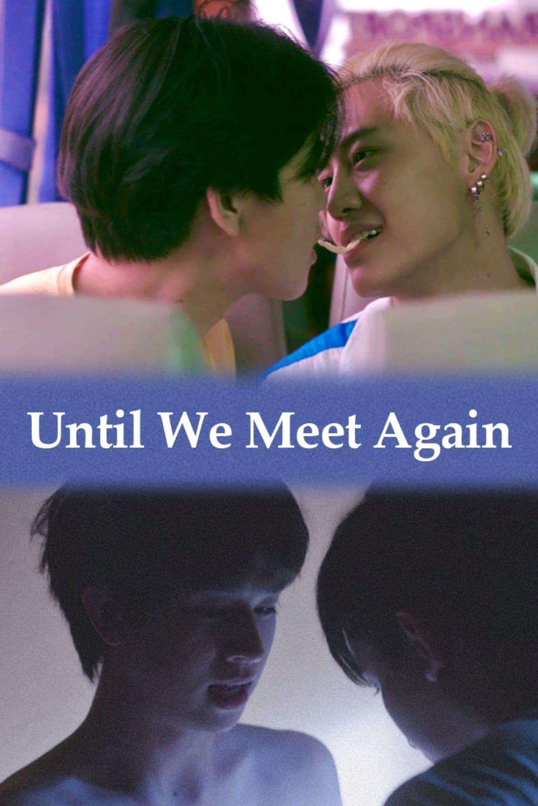 Until We Meet Again poster