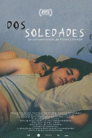 Dos soledades poster