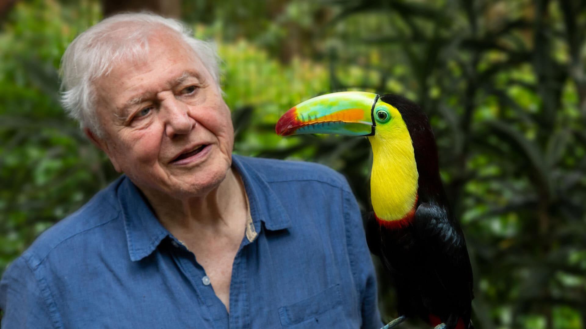 Attenborough's Life in Colour backdrop