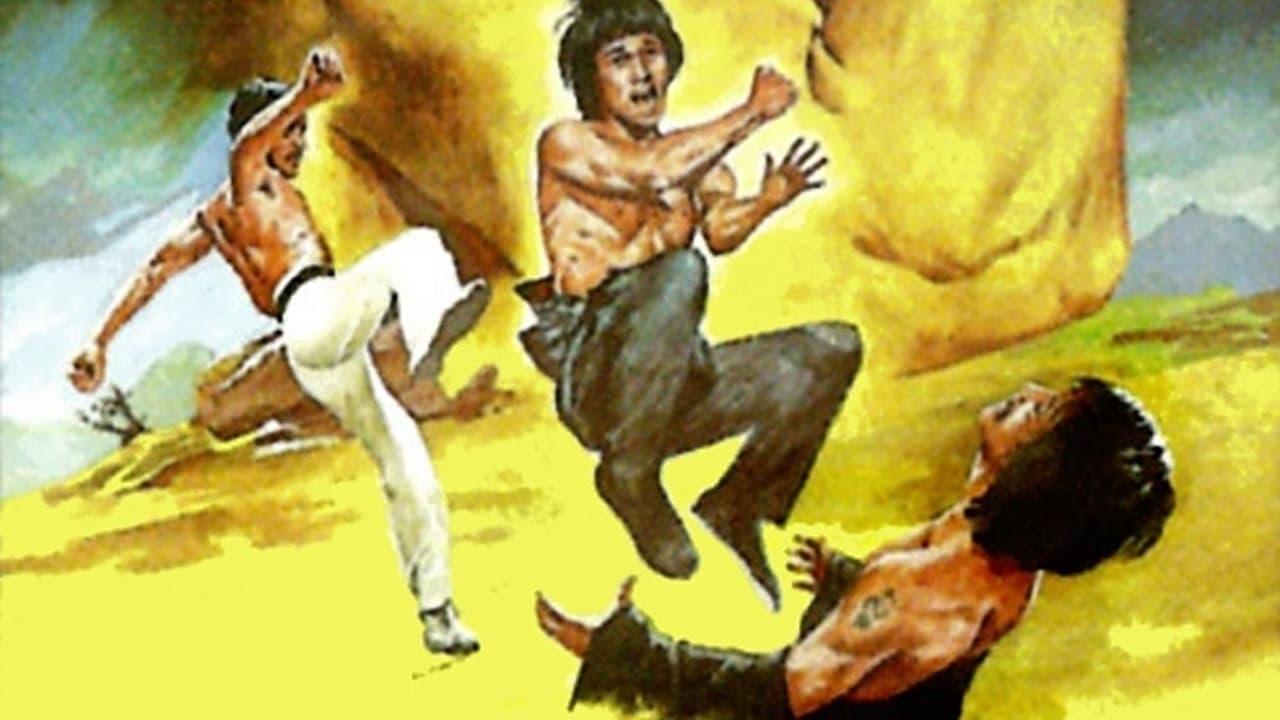 Bruce and Shaolin Kung Fu backdrop