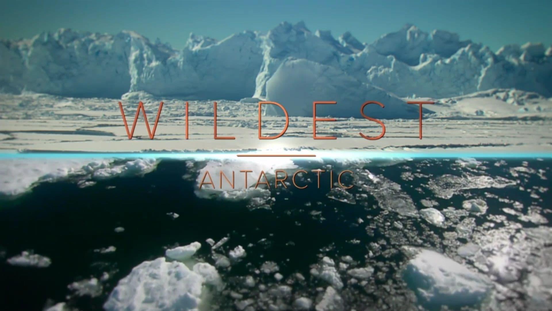 Wildest Places backdrop