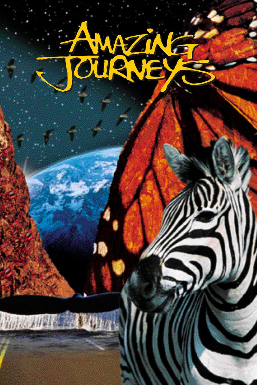 Amazing Journeys poster