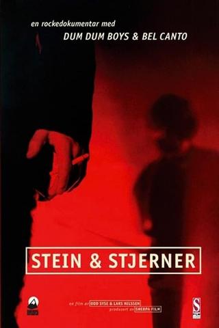 Stein & stjerner poster