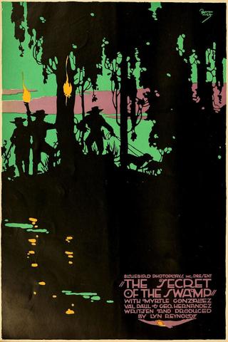 The Secret of the Swamp poster