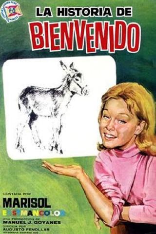 The Bienvenido's Story poster