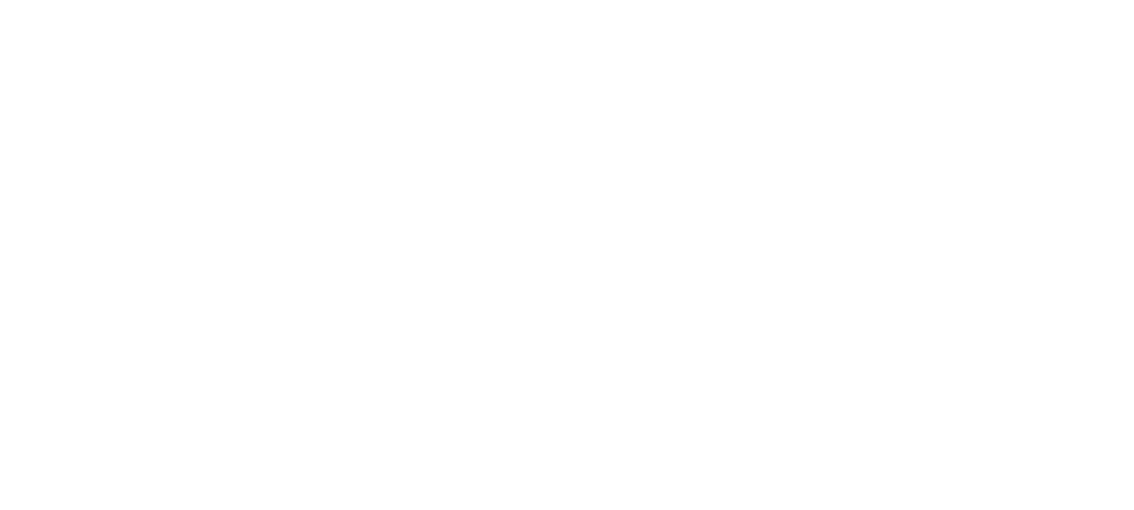 Bull Shark vs. Hammerhead logo