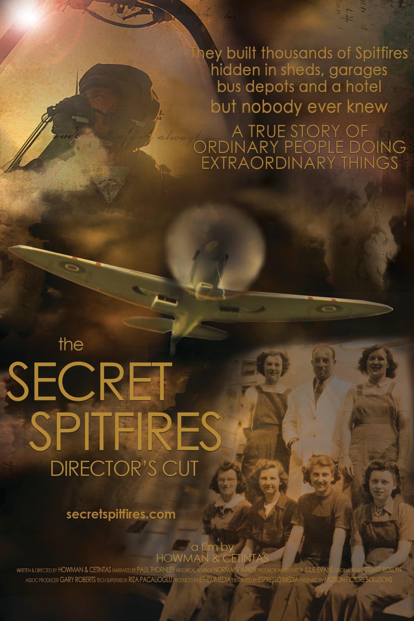 The Secret Spitfires poster