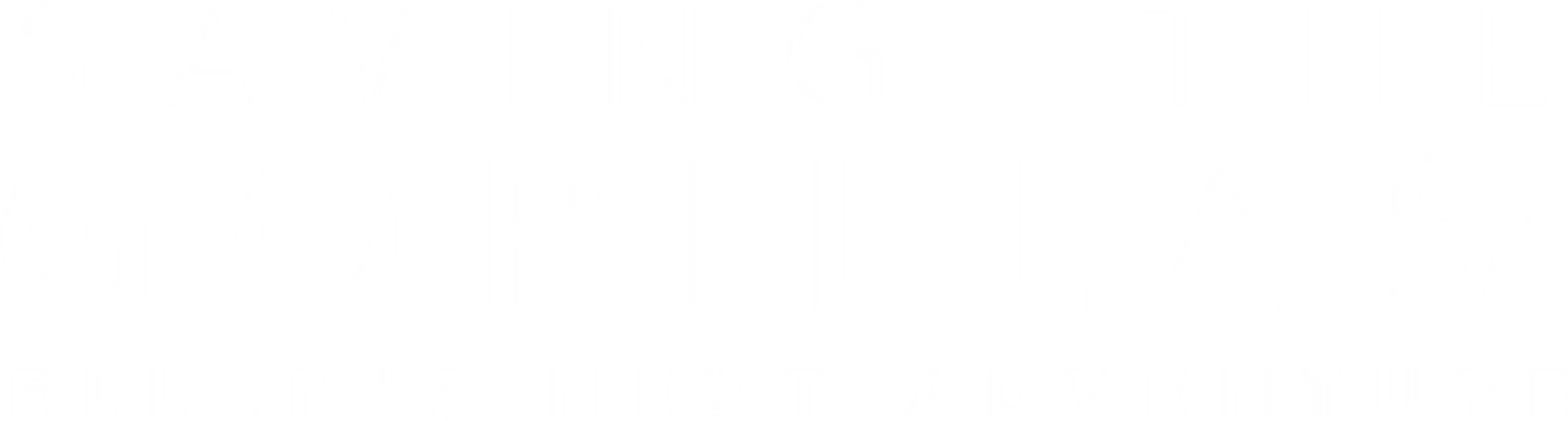 Saving the Gorillas: Ellen's Next Adventure logo