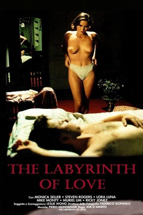 The Labyrinth of Love poster