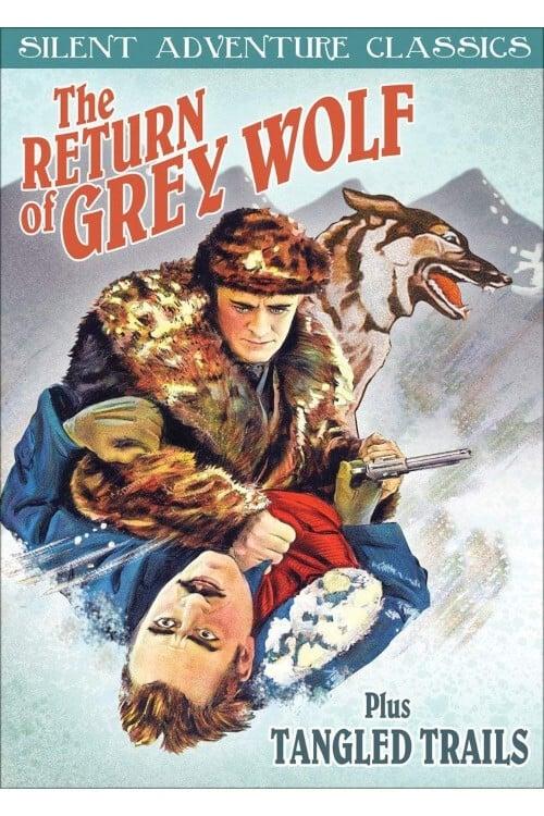 The Return of Grey Wolf poster