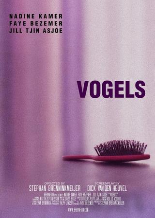 Vogels poster