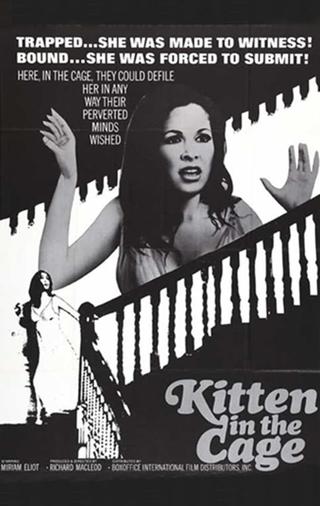 Kitten in a Cage poster