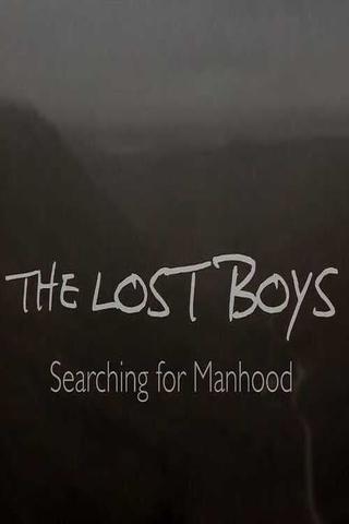 The Lost Boys: Searching for Manhood poster