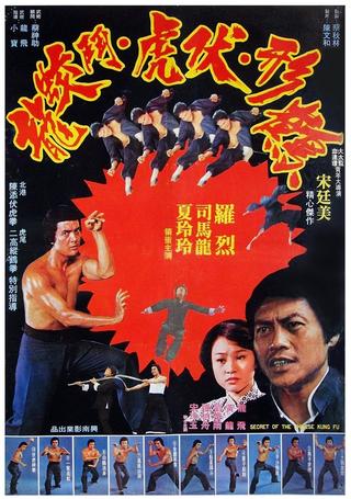 Secret of Chinese Kung Fu poster