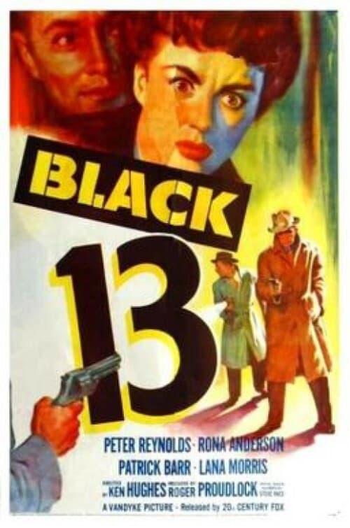 Black 13 poster