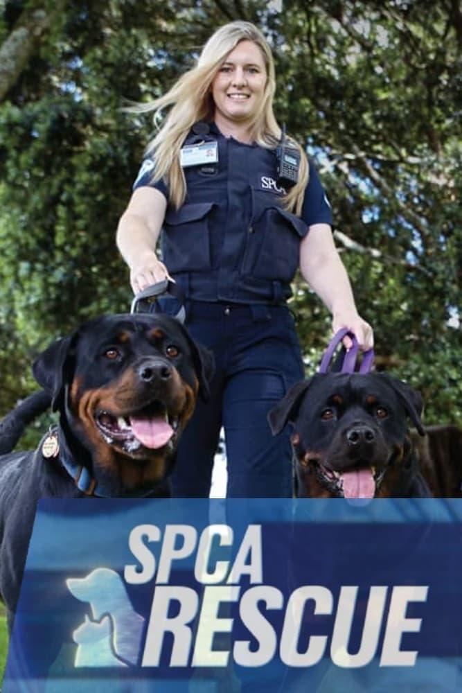 SPCA Rescue poster