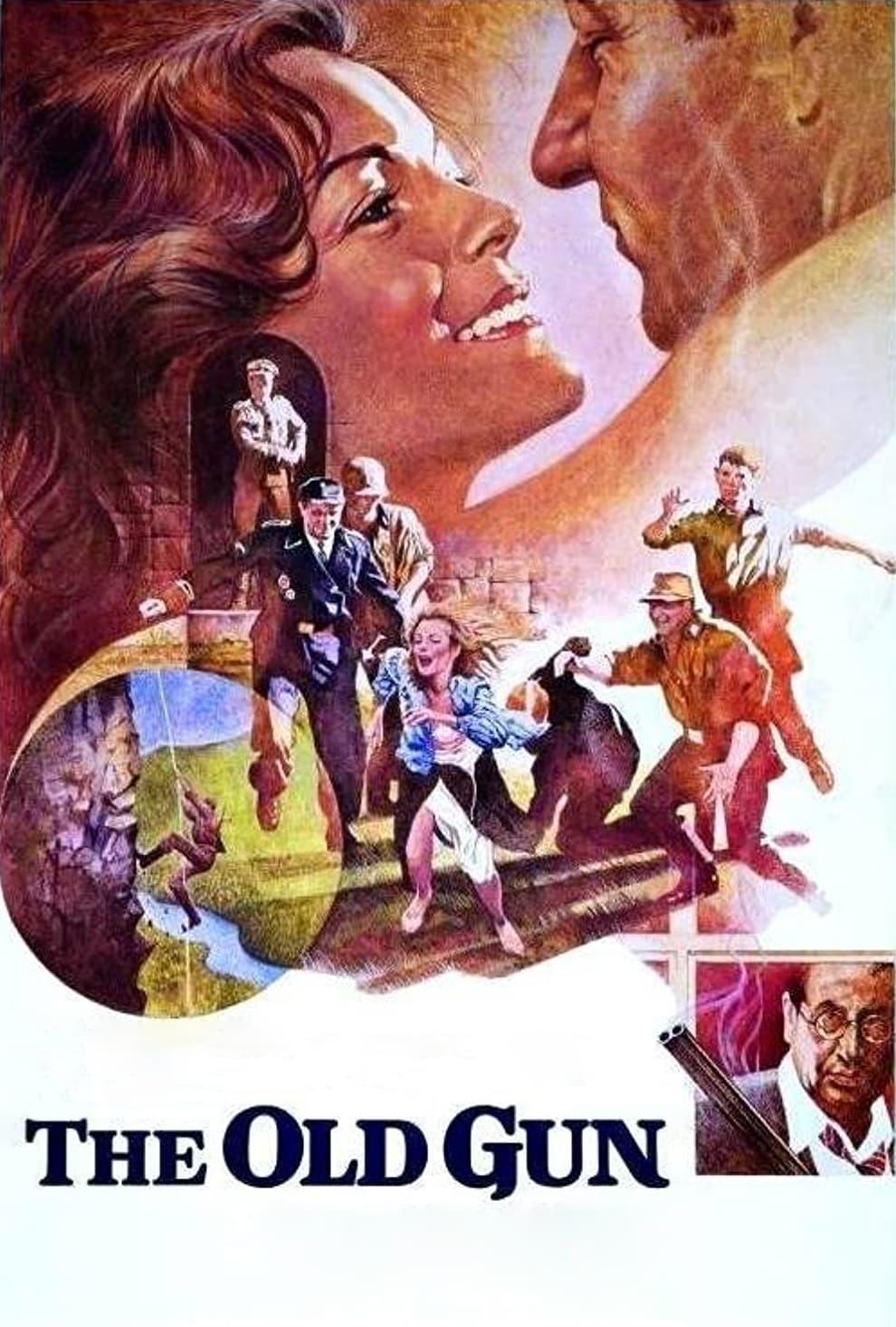 The Old Gun poster