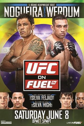 UFC on Fuel TV 10: Nogueira vs. Werdum poster