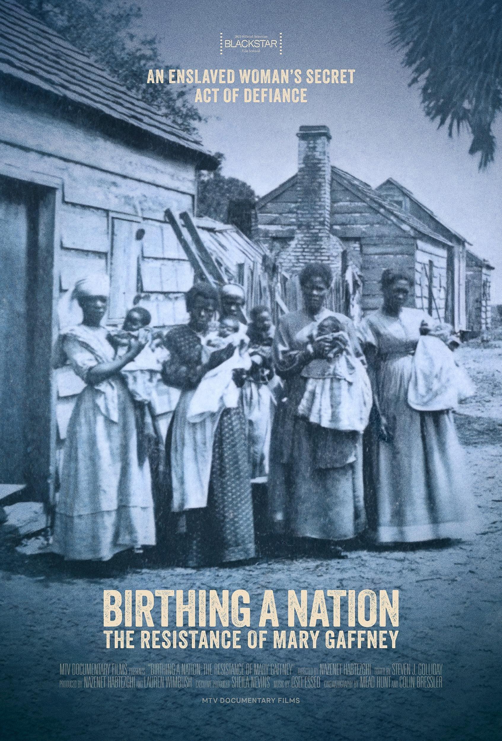 Birthing a Nation: The Resistance of Mary Gaffney poster